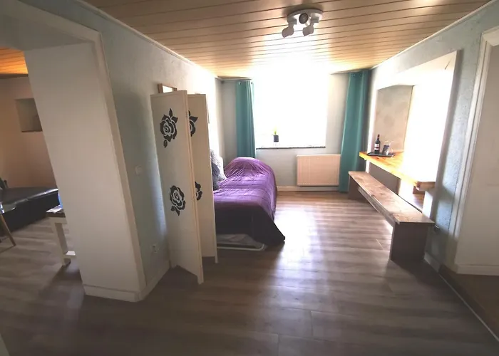 Mooi Ruim Appartement In Antieke Stadsboerderij