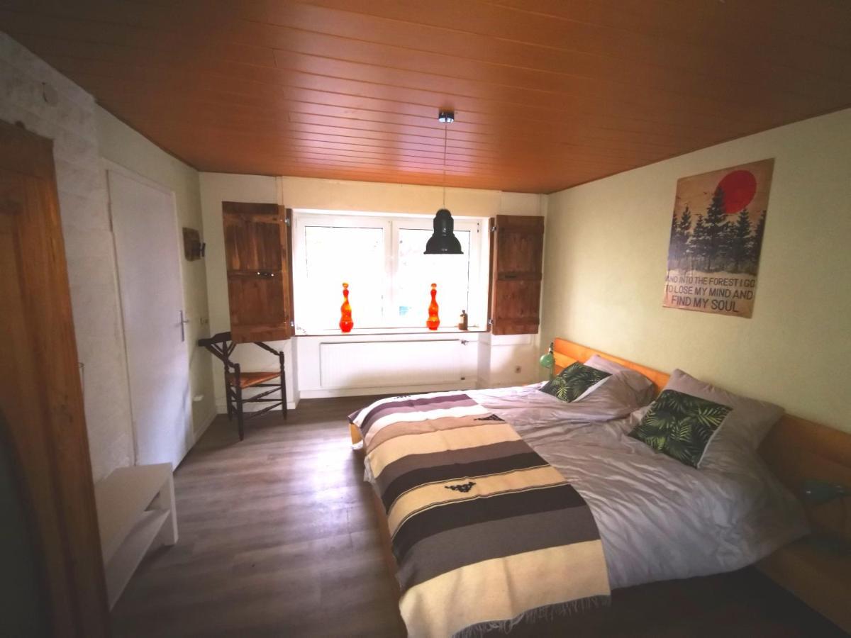 Mooi Ruim In Antieke Stadsboerderij Schönecken