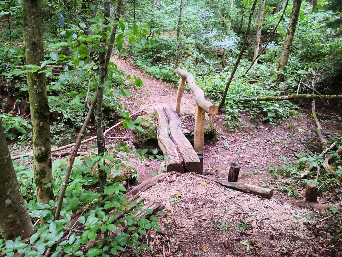 Mooi Ruim In Antieke Stadsboerderij Schönecken
