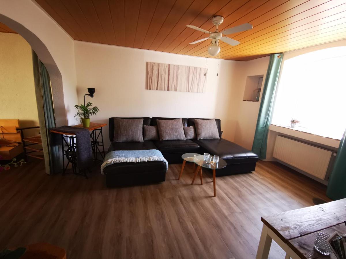 Mooi Ruim In Antieke Stadsboerderij Apartment Schönecken